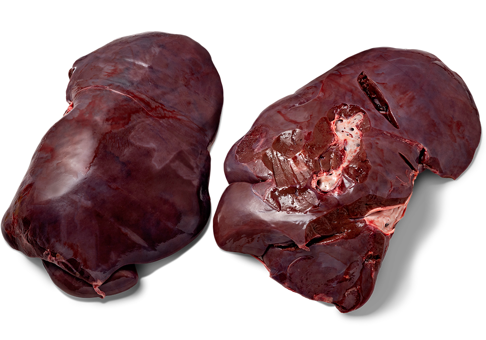 Liver